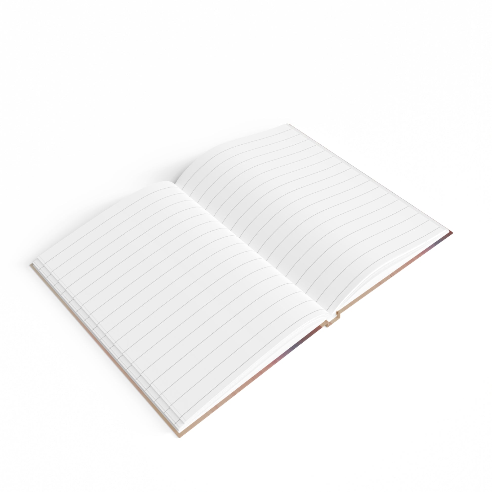 Dusk in Jaipur Journal